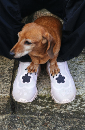 Cecilie Bahnsen x ASICS GEL-QUANTUM 360 l, Cecilie Bahnsen x ASICS GEL-QUANTUM 360 l