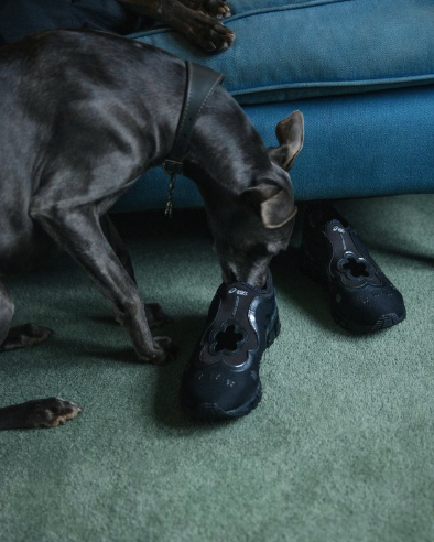 Cecilie Bahnsen x ASICS GEL-QUANTUM 360 l, Cecilie Bahnsen x ASICS GEL-QUANTUM 360 l