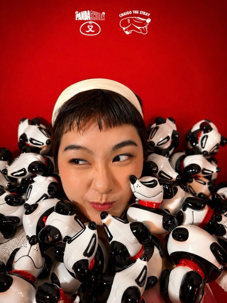 PandaShuen x Chaigo the Stray, PandaShuen x Chaigo the Stray Bring Back GamDouDuck