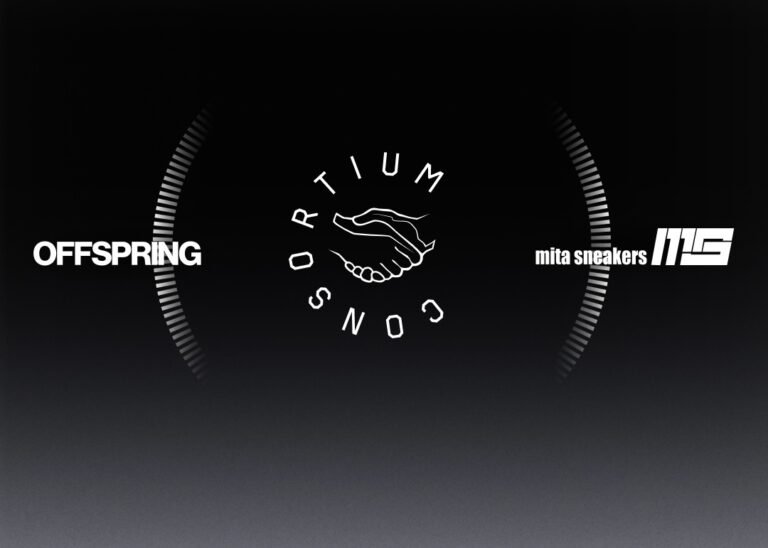 mita sneakers x OFFSPRING x adidas ZX8000 Vote